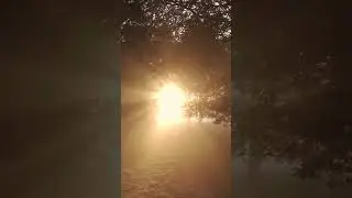 roundrobin sunlight lyrics #shorts
