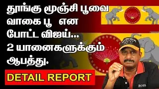 தூங்கு மூஞ்சி பூவை வாகை பூ என போட்ட விஜய் | இரண்டு யானைகளுக்கும் ஆபத்து | VIJAY FLAG 2