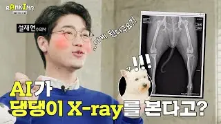 AI로 펫케어 여기까지 된다! TOP 3 공개! 🐶 (Feat. 설채현 수의사)