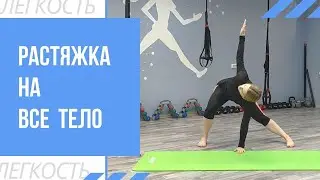 РАСТЯЖКА НА ВСЕ ТЕЛО | РАСТЯЖКА ДЛЯ НАЧИНАЮЩИХ | Растяжка за 15 минут