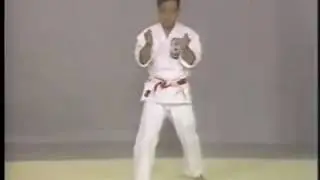 Sunsu Kata karate  Isshin Ryu