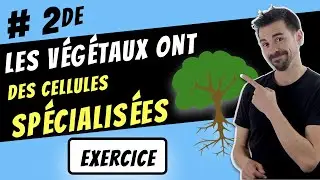 LES CELLULES SPÉCIALISÉES CHEZ LES VÉGÉTAUX -SECONDE-