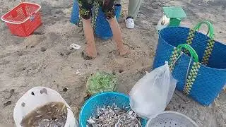 Đi biển là tui thích nhất là cái này