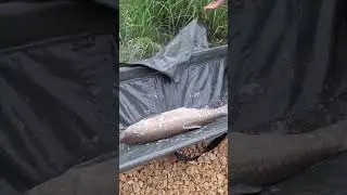 Рибалка🔥 
