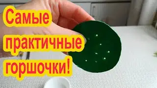 Горшочки для рассады - своими руками