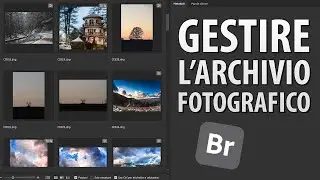 Un modo pratico per gestire il proprio archivio fotografico? | Tutorial Adobe Bridge