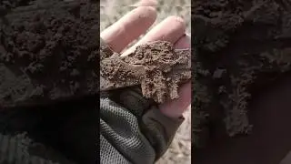 Такой красивый был бы😔Очень жалко 😥#shorts