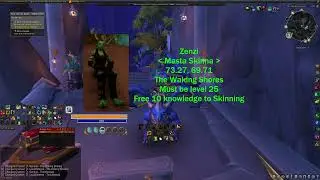 Free Skinning Knowledge Hidden Master Zenzi Dragonflight WoW