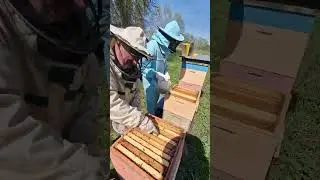 Есть проблема ? Будем решать 