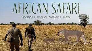 African Safari in Zambia, Ep. 3: Kapamba Walking Safaris