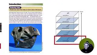Wk 4: Part 1: User Experience Design