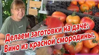 Делаем заготовки на даче  Вино из красной смородины