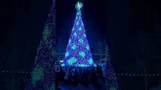Dollywood's Smoky Mountain Christmas 2023