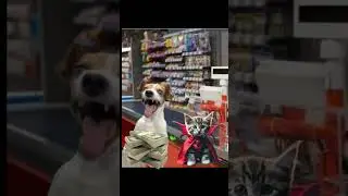 Собака обманула продавца😈#мем #реки #футаж #котики #собаки #приколы #приколысживотными