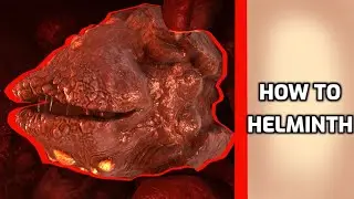 How to Helminth - Beginners Warframe guide (2020)