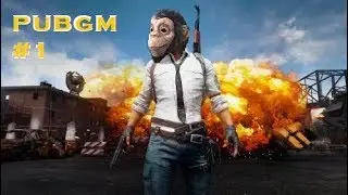 BERBURU MONYET||PUBGM#1