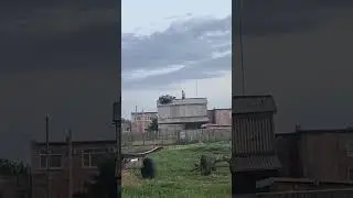 В Омске отара овец забралась на крышу здания и не смогла спуститься.