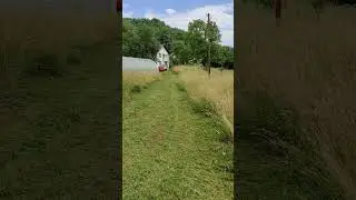 Paunci