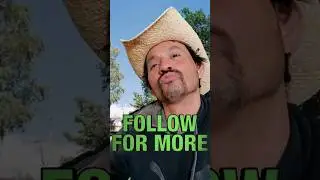 el poder de los frijoles