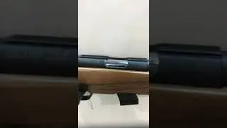Винтовка Hatsan Escort Elite 22LR