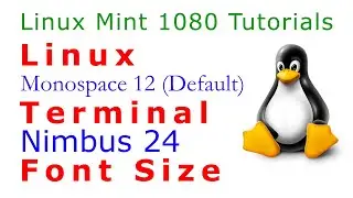 Linux Terminal Font Size