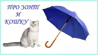 СКАЗКА ПРО ЗОНТ И КОШКУ | ПОГОВОРИЛИ | автор Наталья Абрамцева