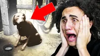 THIS GAME MADE ME KILL MY DOG! (Wolfenstein 2: The New Colossus)