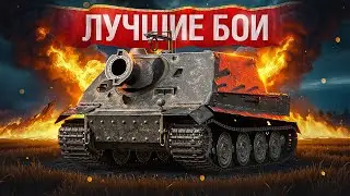 Shotnik - The Best Fights on Sturmtiger!