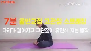 고관절 스트레칭 허벅지 스트레칭 다리찢기 hip joint stretch