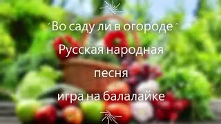 "Во саду ли в огороде" русская народная песня, игра на балалайке