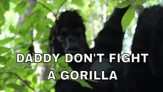 Daddy Don't Fight a Gorilla (Regal ShortFilm Showdown 2019)