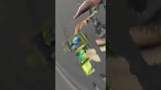 Che Energia c’è in questa situazione🌌🌊🌪️🌈☀️🌬️qualunque situazione. Video interattivo.