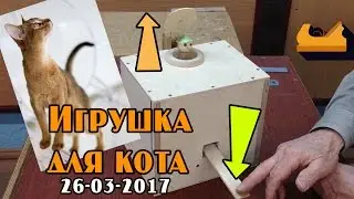 Игрушка для кота из дерева. Кто-кто в коробочке живет?)