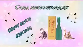 Cara menggunakan ubat kutu kucing cecair | ubat kutu murah | ubat kutu bajet