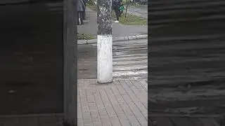 Пьяная девушка обосцалась