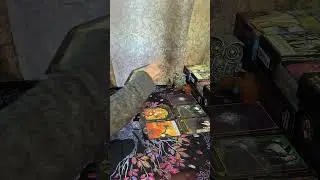 ЧЕМ ПОРАДУЕТ ВАС ДЕНЬ СЕГОДНЯШНИЙ🤔✨🌈🐉💯💯💯!!!