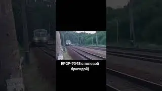 15 июля 2024 г.