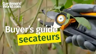 Secateurs - Buyer's Guide