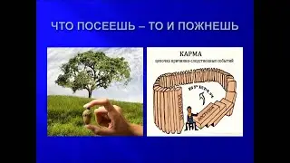 Мысли о законах Вселенной