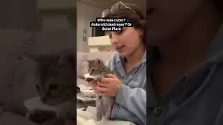 Who did it cuter? 