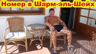 Обзор номера в отеле. Seti Sharm Palm Beach Resort 4. Шарм-эль-Шейх. Египет