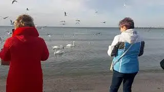 Анапа. Центральный пляж. 05.01.2020