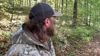 Looking for deer Middle Tennessee