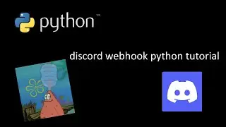 webhook python tutorial