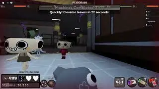 Distracting shelly and vee while inactive trinket... (backup failed to kite pebble smh...)