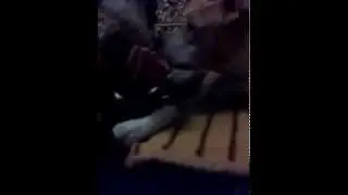 ника