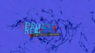Project Reality