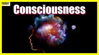 [Consciousness] The Key to Understanding Quantum Mechanics