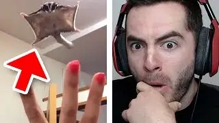 THIS S**T IS LIT