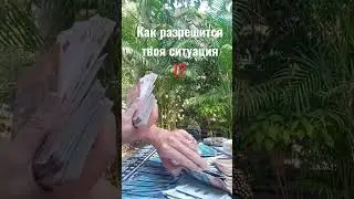 Как разрешится твоя ситуация ⁉️
